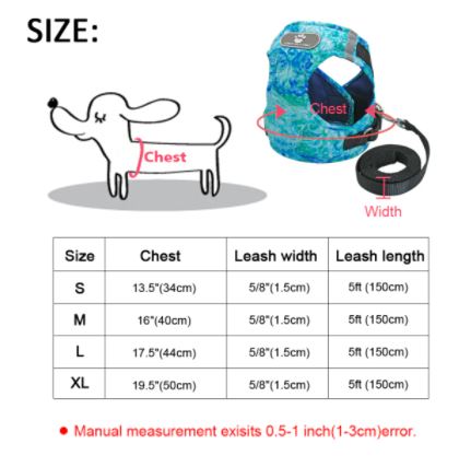 JOLLY Harness and Leash Set