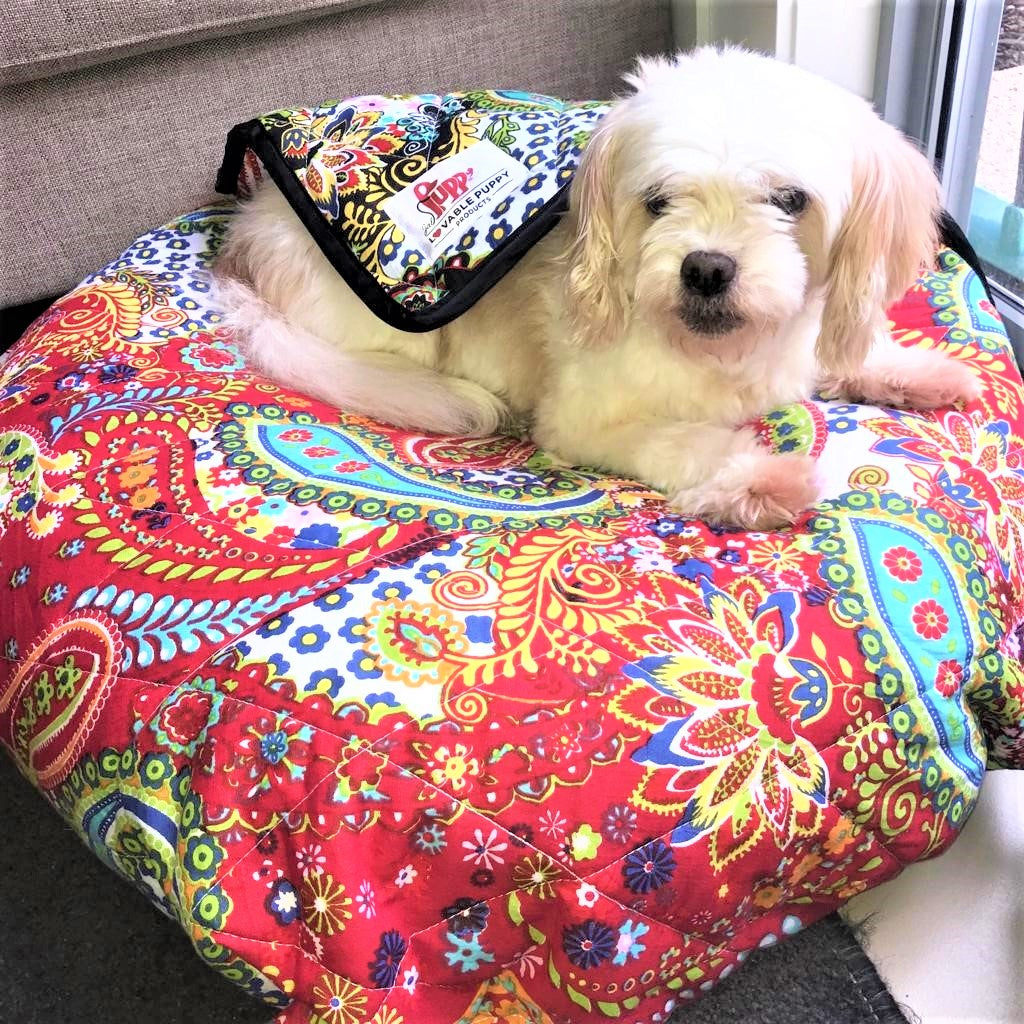 Honey Dog in Quilted Blanket