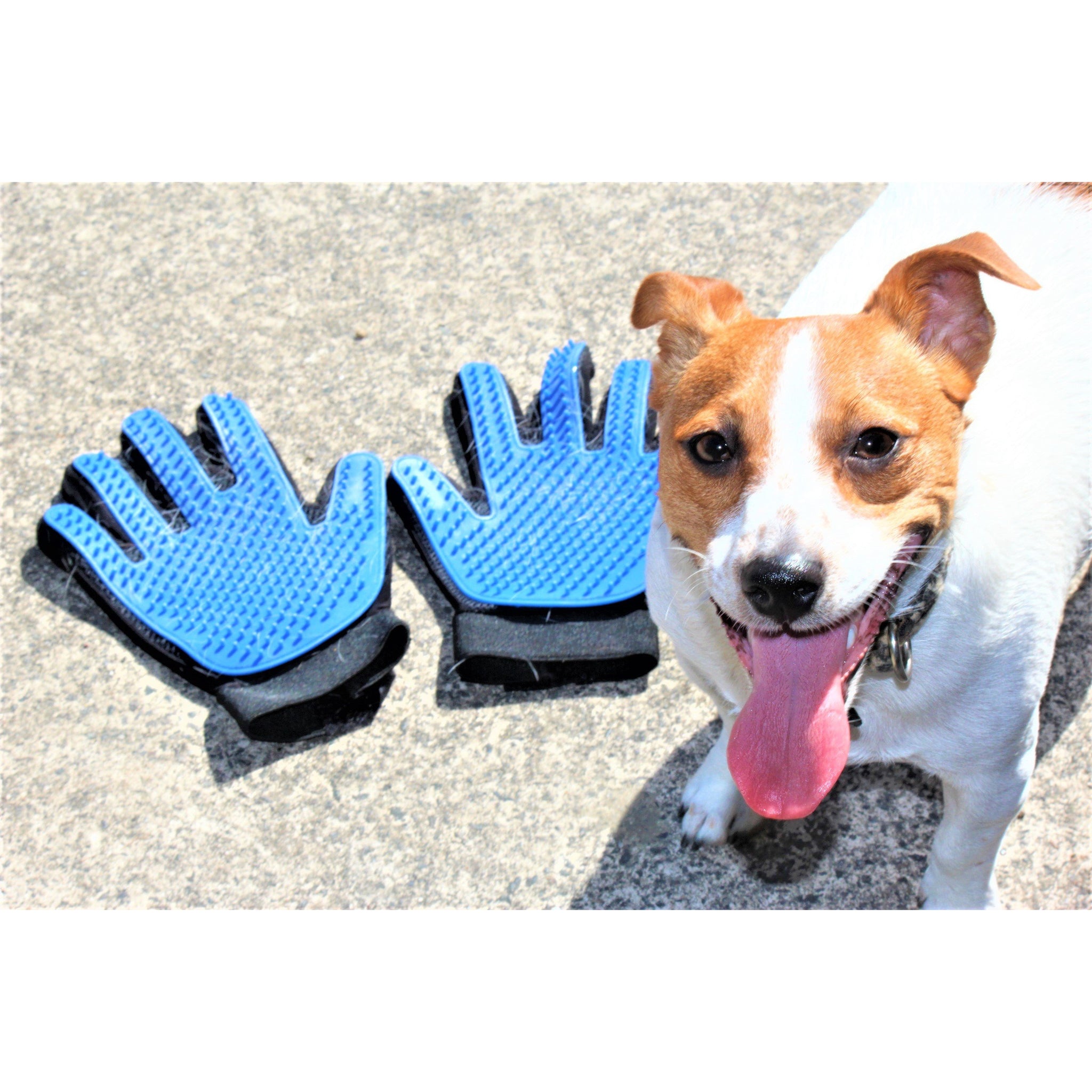 Jagger Silicone Grooming Mitts