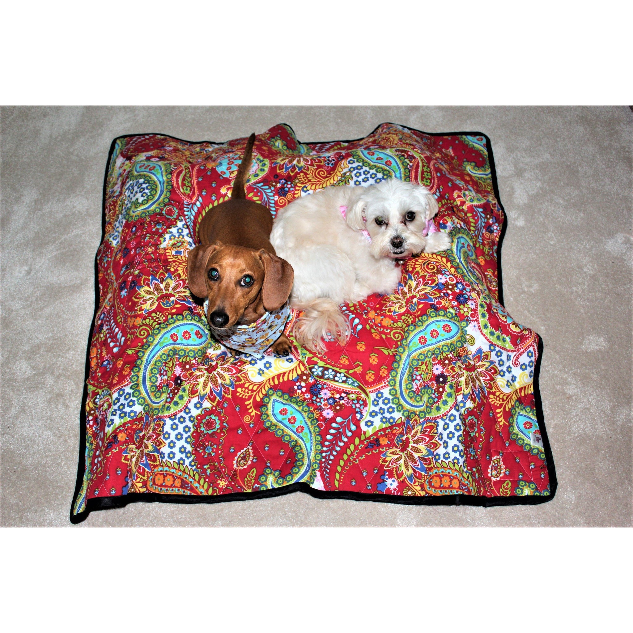 Max and Gracie Dogs in Quilted Blanket