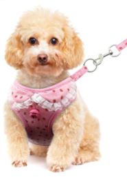 JILLY Harness and Leash Set